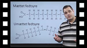 BiokemiFedt02SundUsund