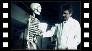 Evolution SNM oprejst gang