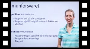Uspicifikke- og specifikke immunforsvar. 