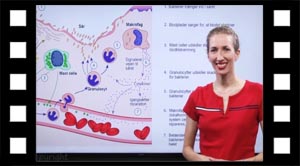 Bakterier trænger ind i vores krop - hvad sker der så?