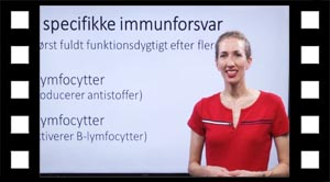 Det specifikke immunforsvar