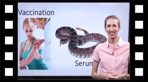 Vaccination og serum