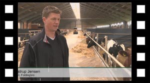 Kontrol med kalvekød.