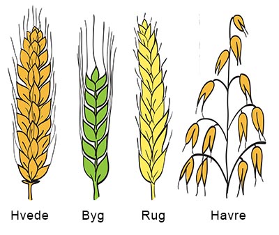 shutterstock_104449943 400px