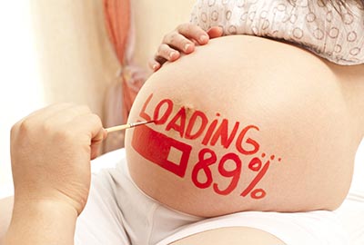 shutterstock_121605250 gravid