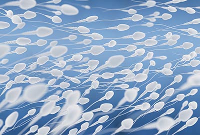 shutterstock_242987584 sex sæd