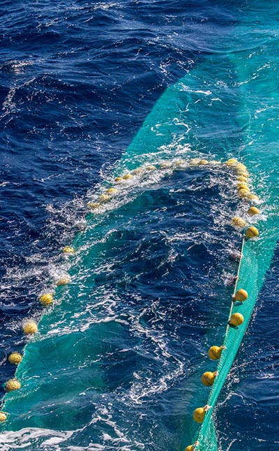 shutterstock_259478648 fiskeri