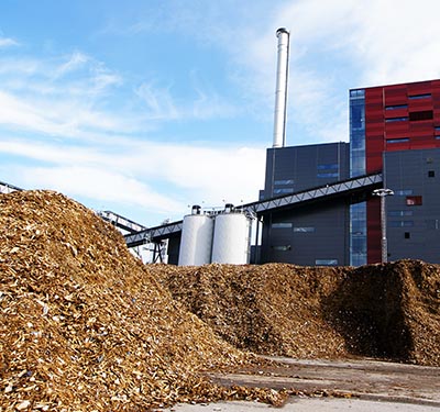 shutterstock_272193797biomass