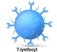 shutterstock_292723997 immun tcelle