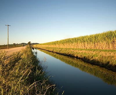 shutterstock_57335098 landbrug vandloeb lige 400px