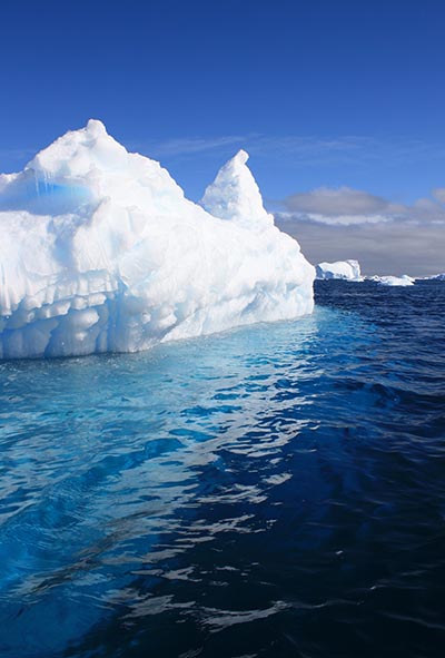 shutterstock_125450936 400px