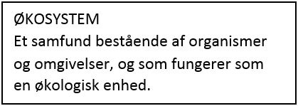 Økosystem økologi