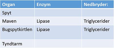 Fedtstoffer tabel 400px