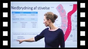 Nedbrydning af kulhydrat