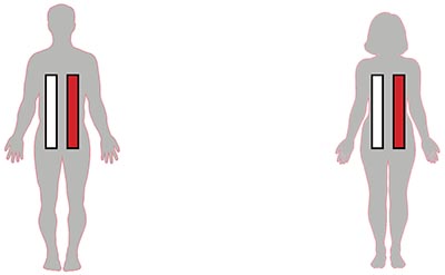 Genetik opgave redigeret