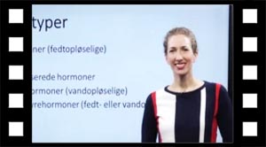 Hormoner 02 hormontyper