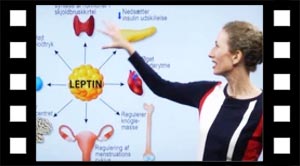 Hormoner 04 peptidhormoner