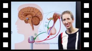 Hormoner 07 reguleringshormon