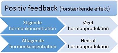 Positiv feedback_400px