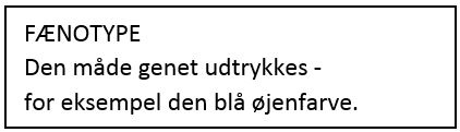 fænotype boks