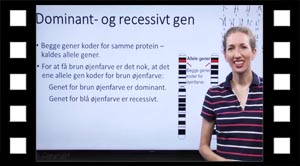 Allele gener, dominant- og recessivt gen