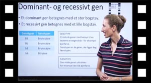 Bogstavsystem, geno- og fænotype.