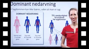 Dominant nedarvning. Dværgvækst.