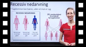 Recessiv nedarvning. Cystisk fibrose.