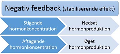 negativ feedback03_400px