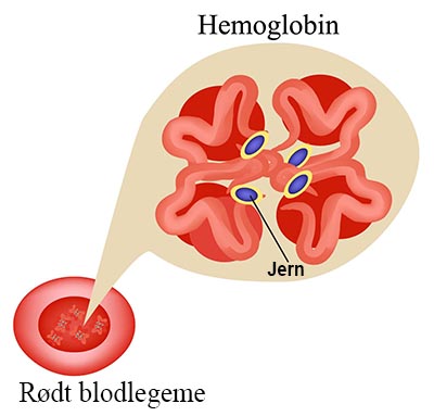 shutterstock_354235511 blod