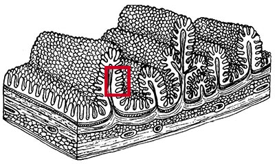 tarm6 med rød kasse 400px